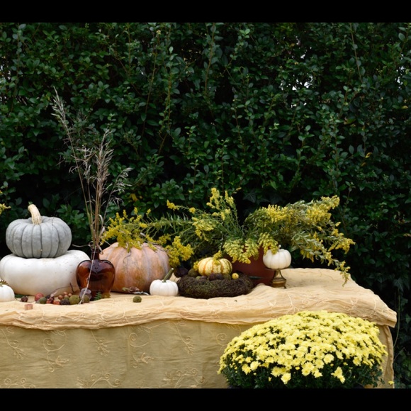 Meet your Posher, Kari - Picture 11 of 15